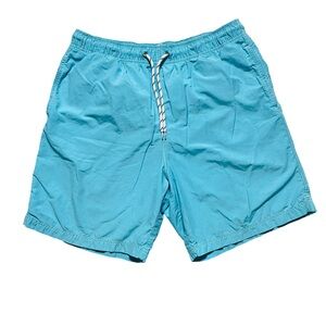 Roundtree & Yorke Men's Aqua Blue Swim Shorts